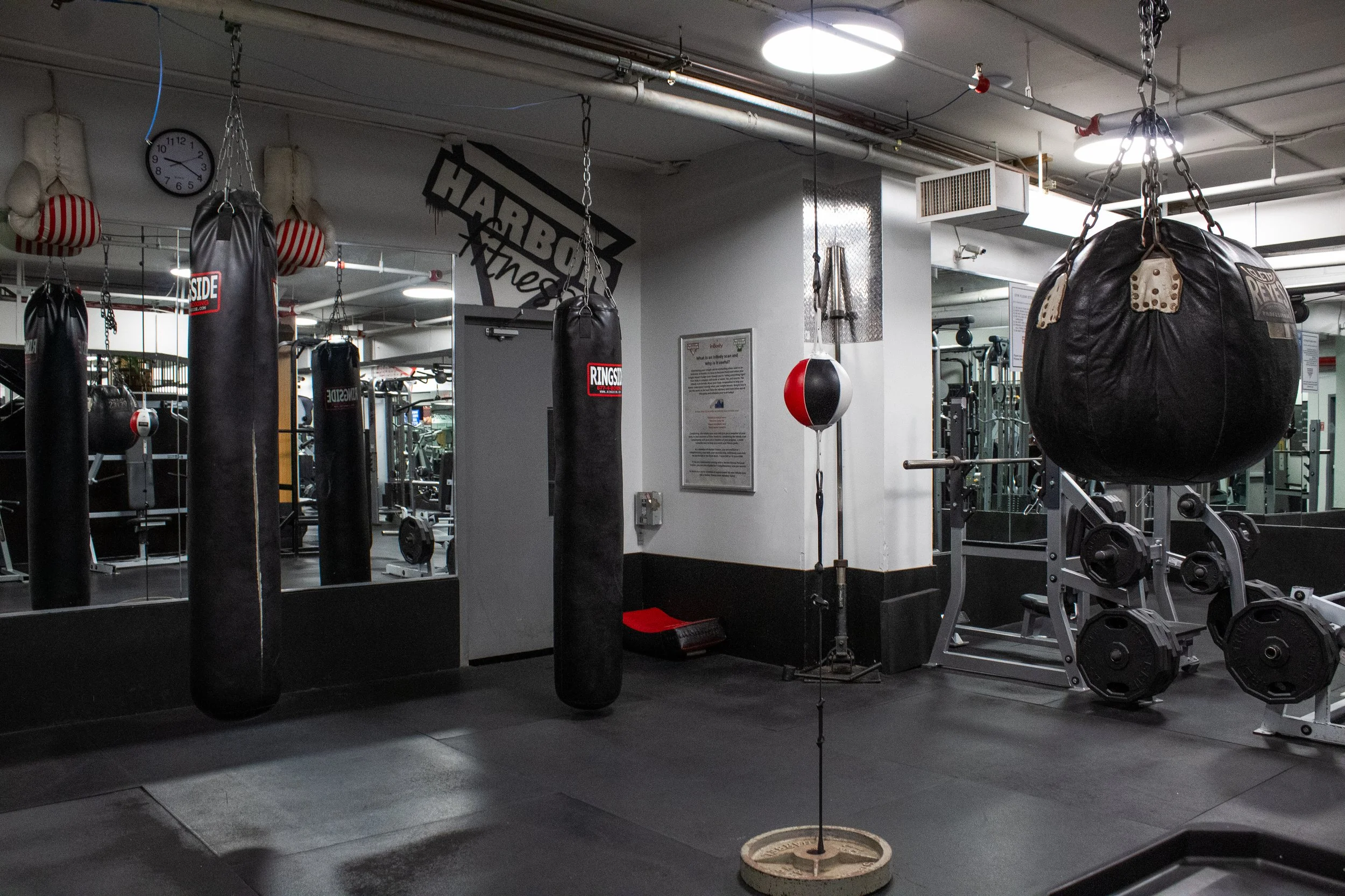 Harbor Fitness Park Slope Boxing