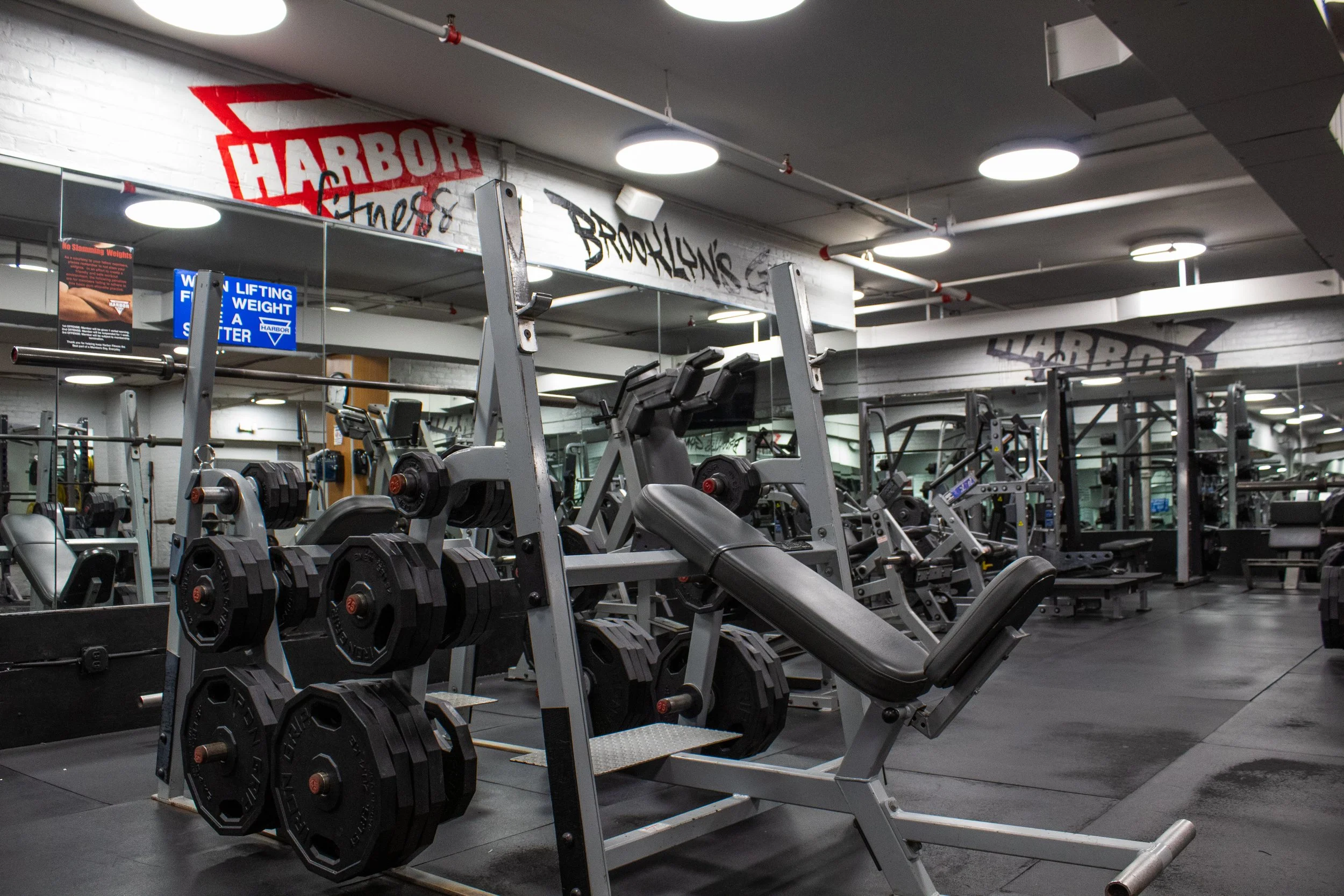Harbor Fitness Park Slope Olympic Benches