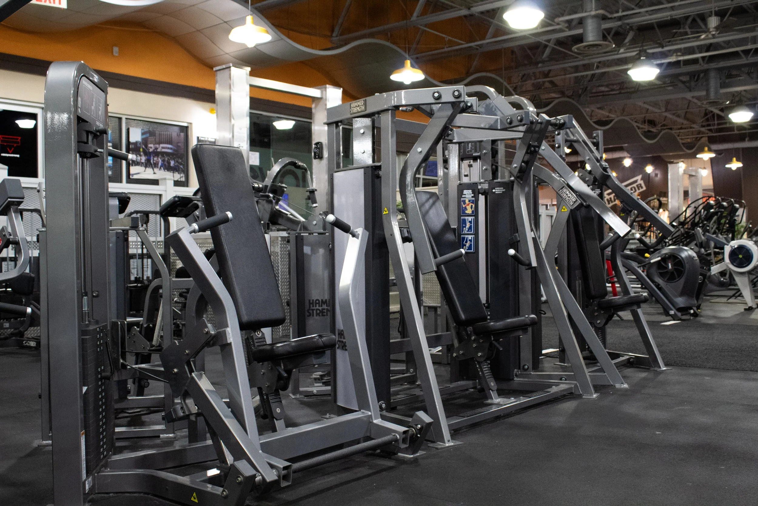 Harbor Fitness Mill Basin UPPER BODY
