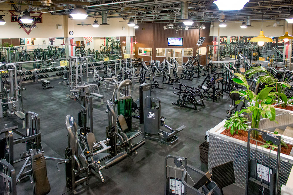 Harbor Fitness Mill Basin Panorama 2