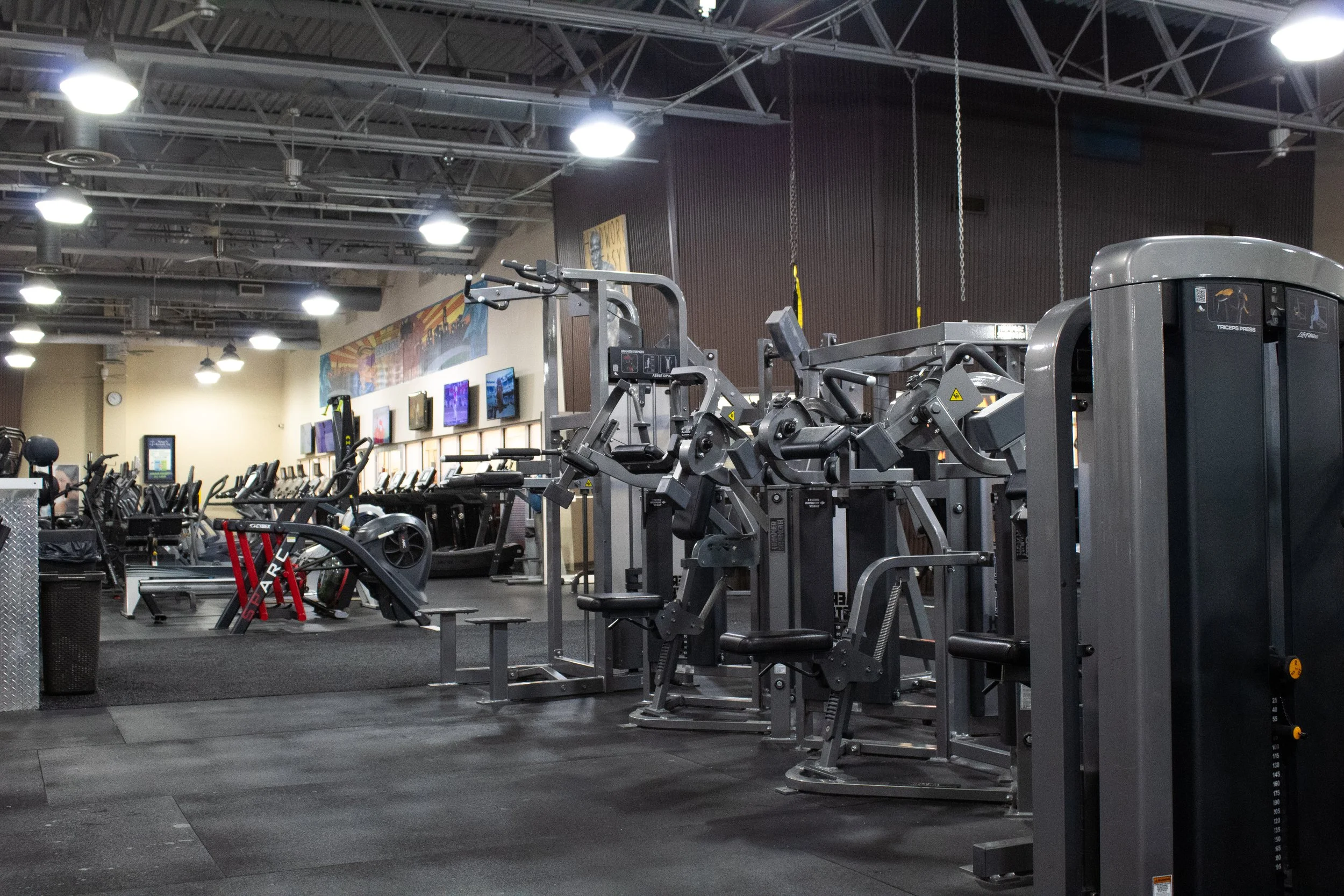 Harbor Fitness Mill Basin UPPER BODY 3