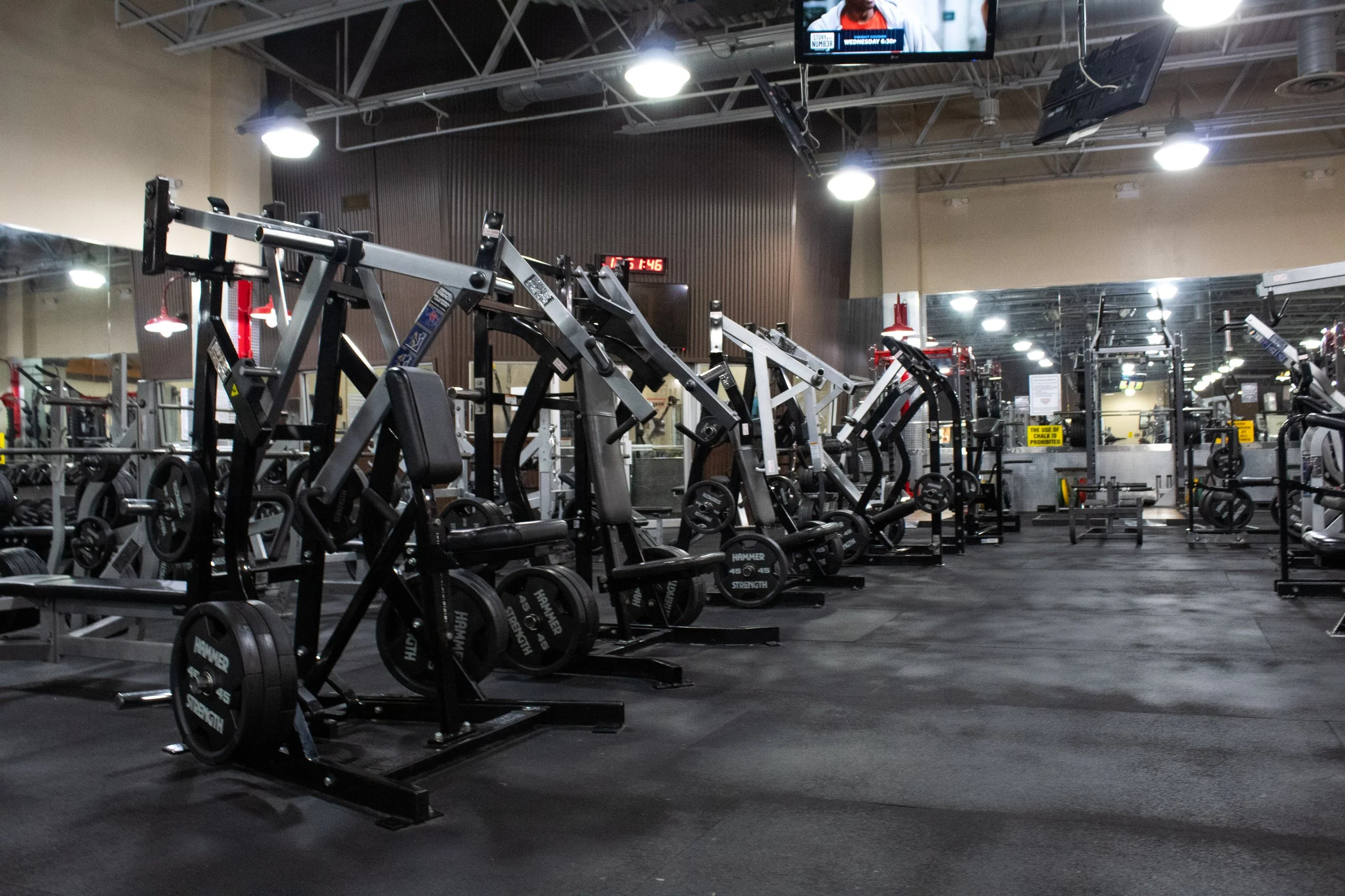 Harbor Fitness Mill Basin PLATE LOADED UPPER BODY