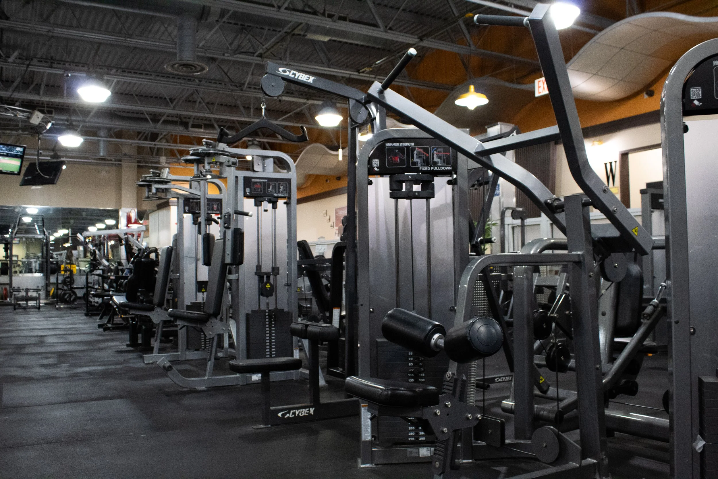 Harbor Fitness Mill Basin UPPER BODY 2