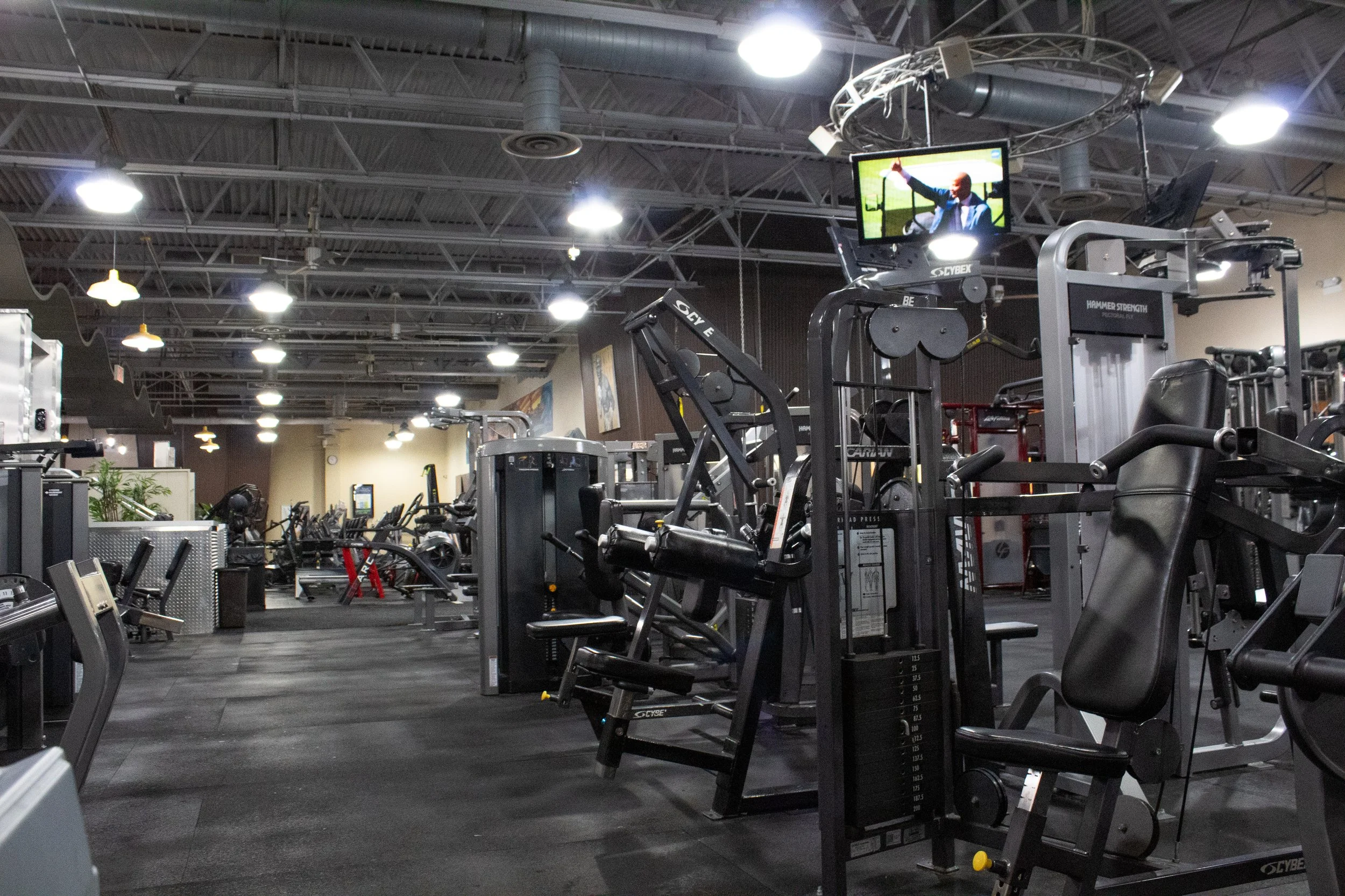 Harbor Fitness Mill Basin UPPER BODY 4