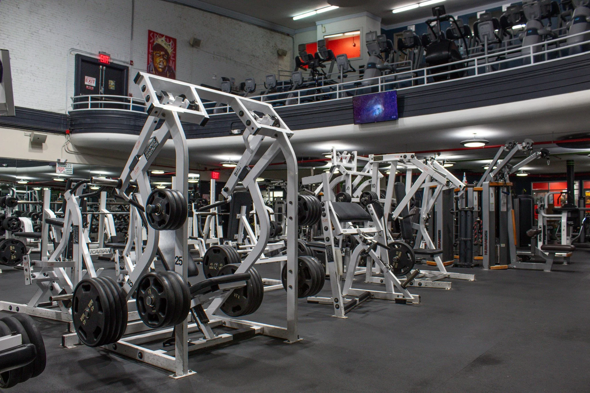 GO! MARINE PARK PLATE LOADED UPPER BODY