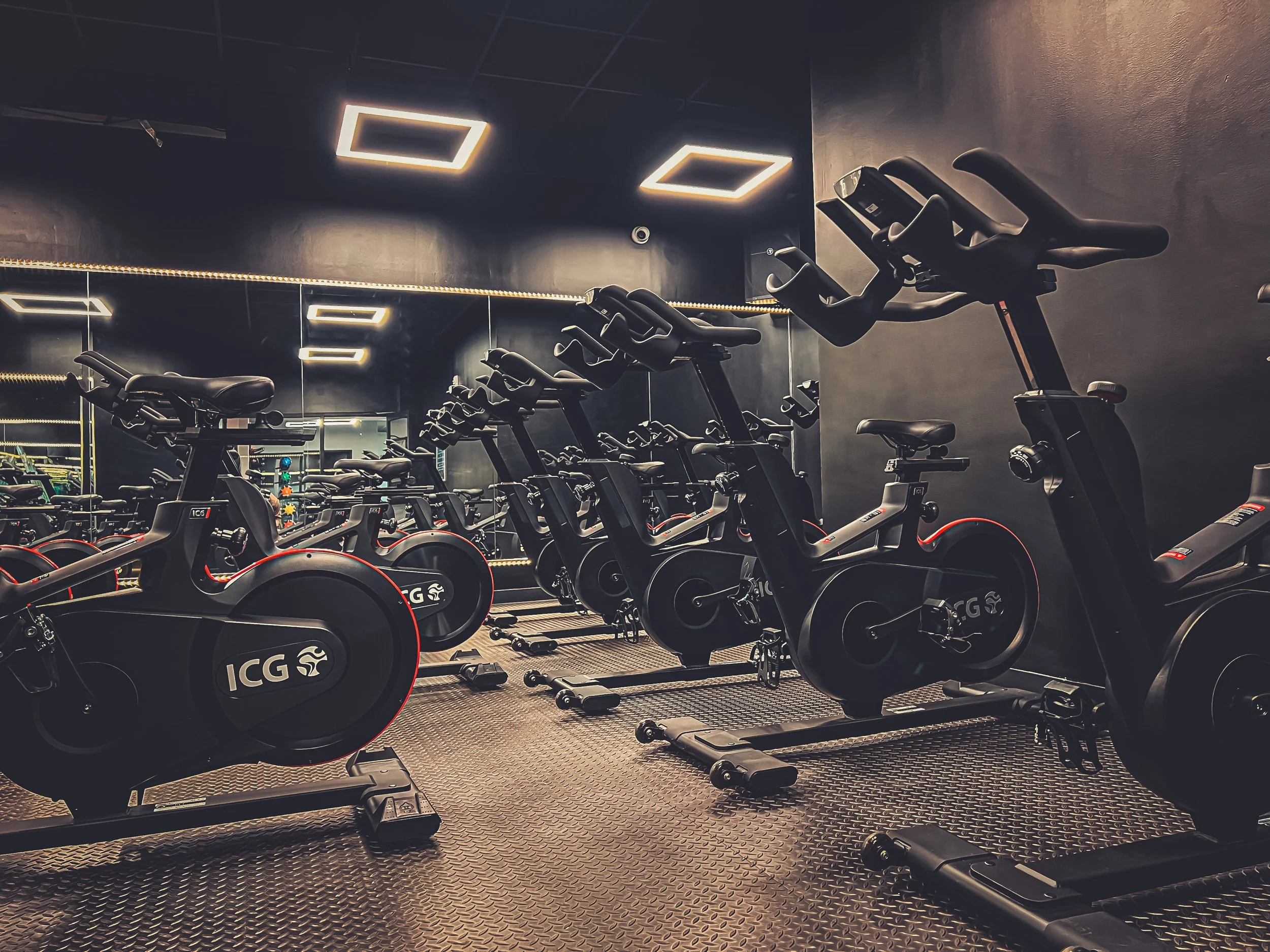 Harbor Fitness Midwood Equipment 23