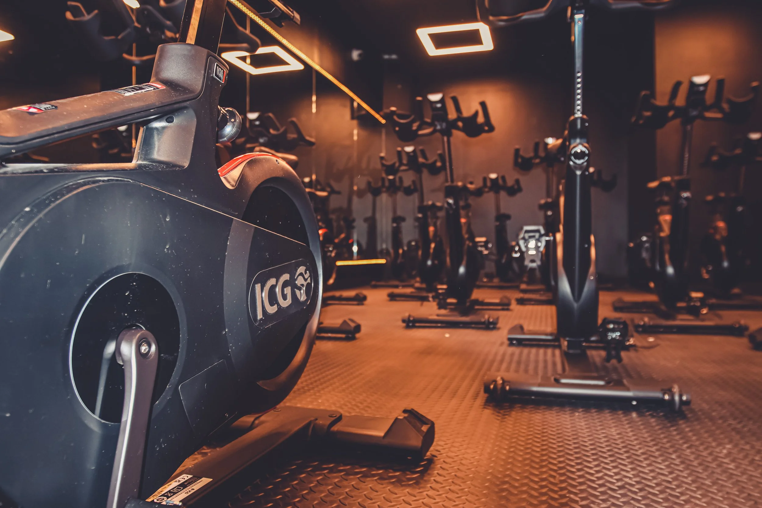 Harbor Fitness Midwood Equipment 21