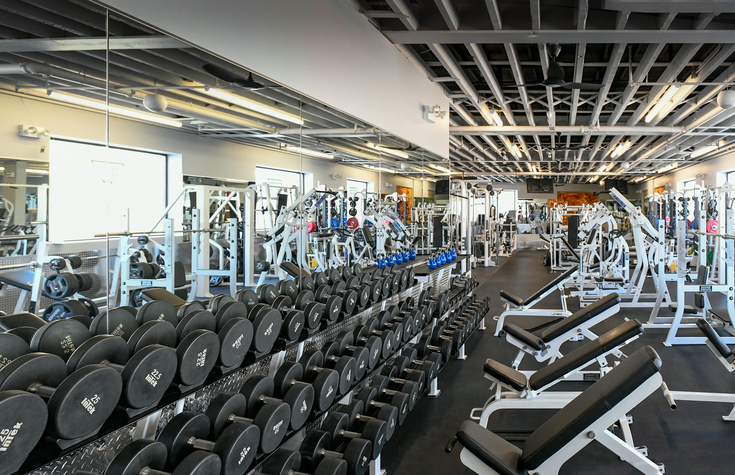 GO! Bay Ridge at 87th Street Dumbbells