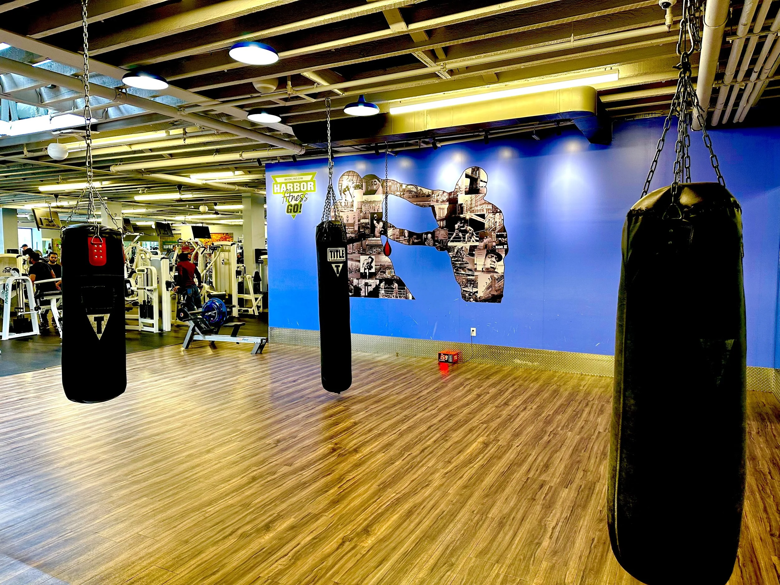 GO! Bay Ridge at 87th Street Boxing Area
