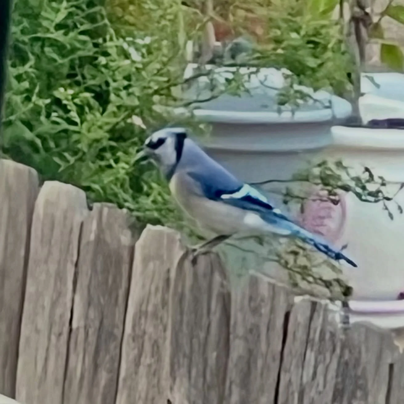 Look who came to visit!