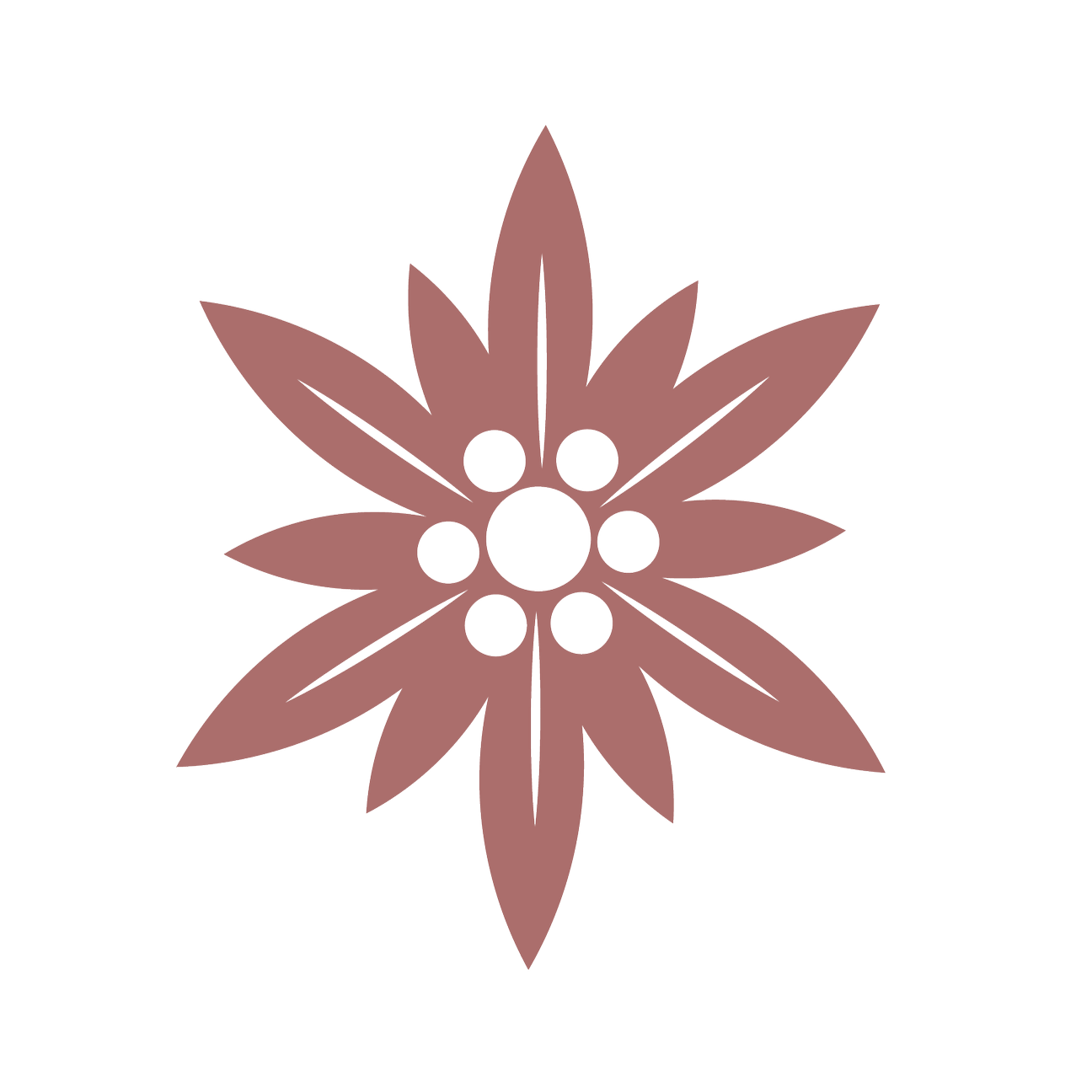 Une illustration d'une edelweiss