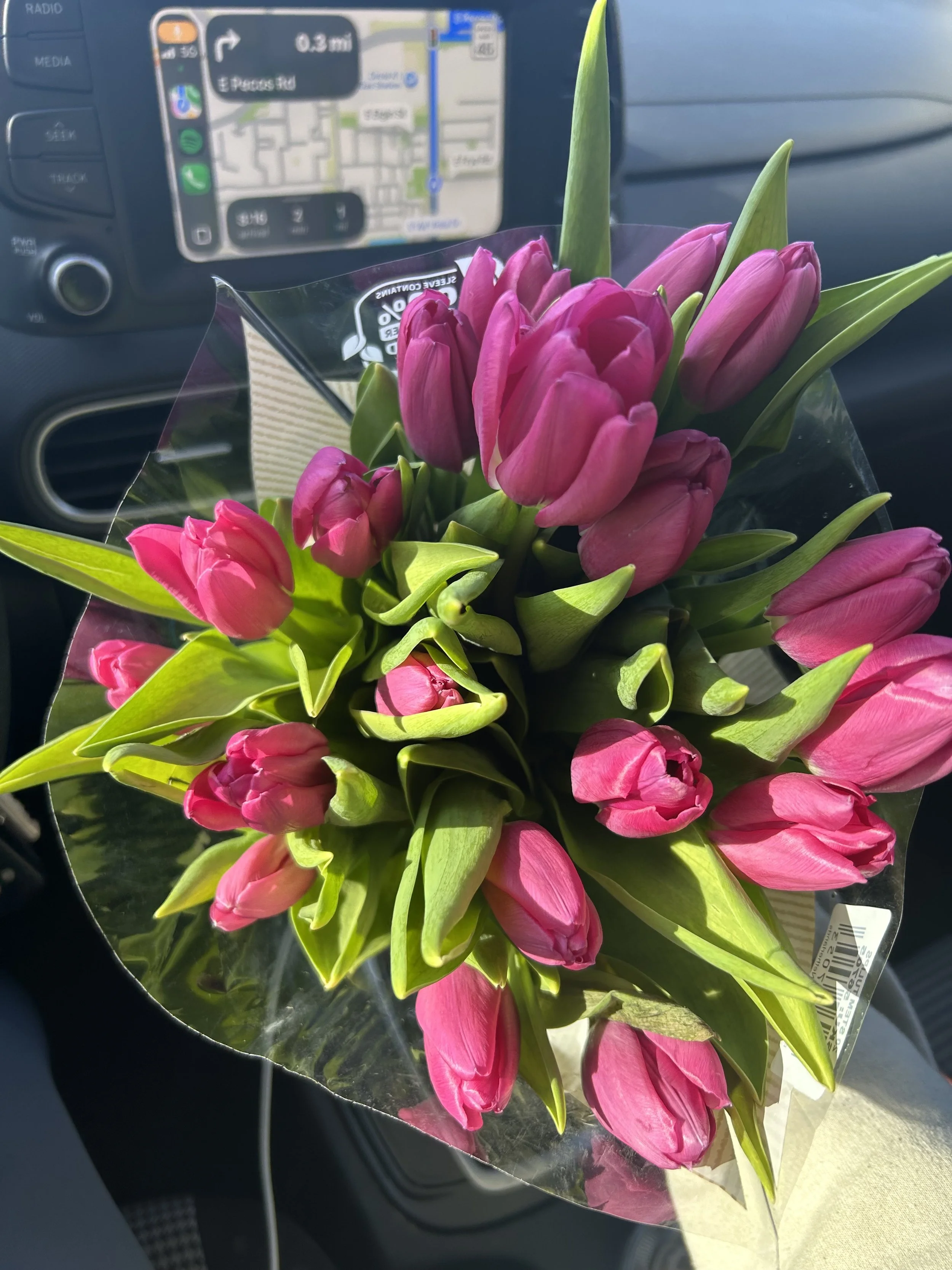 A bouquet of pink tulips with green leaves in a clear plastic wrapping held inside a car, with a GPS navigation screen visible in the background.