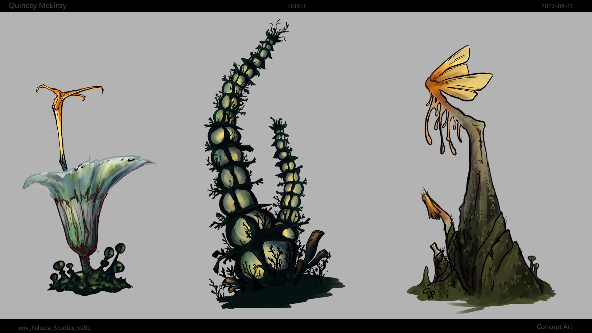 env_Felucia_Studies_v001.png