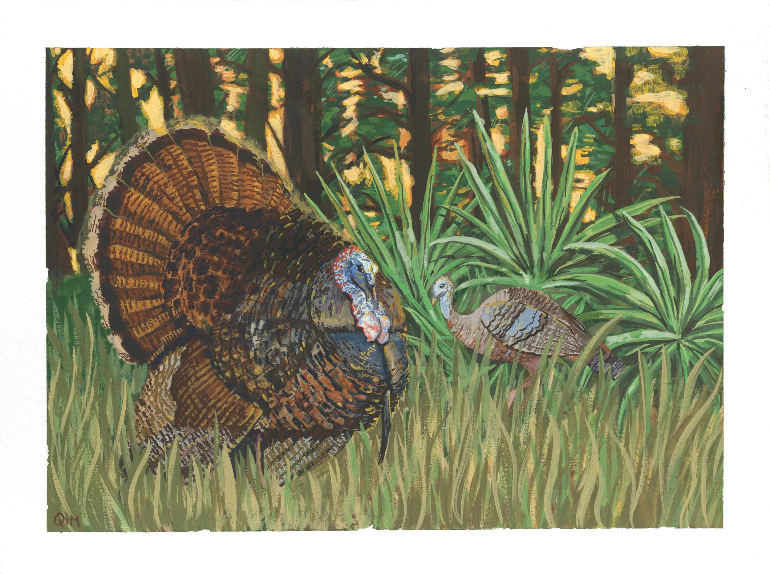 Osceola Turkey Painting.jpg