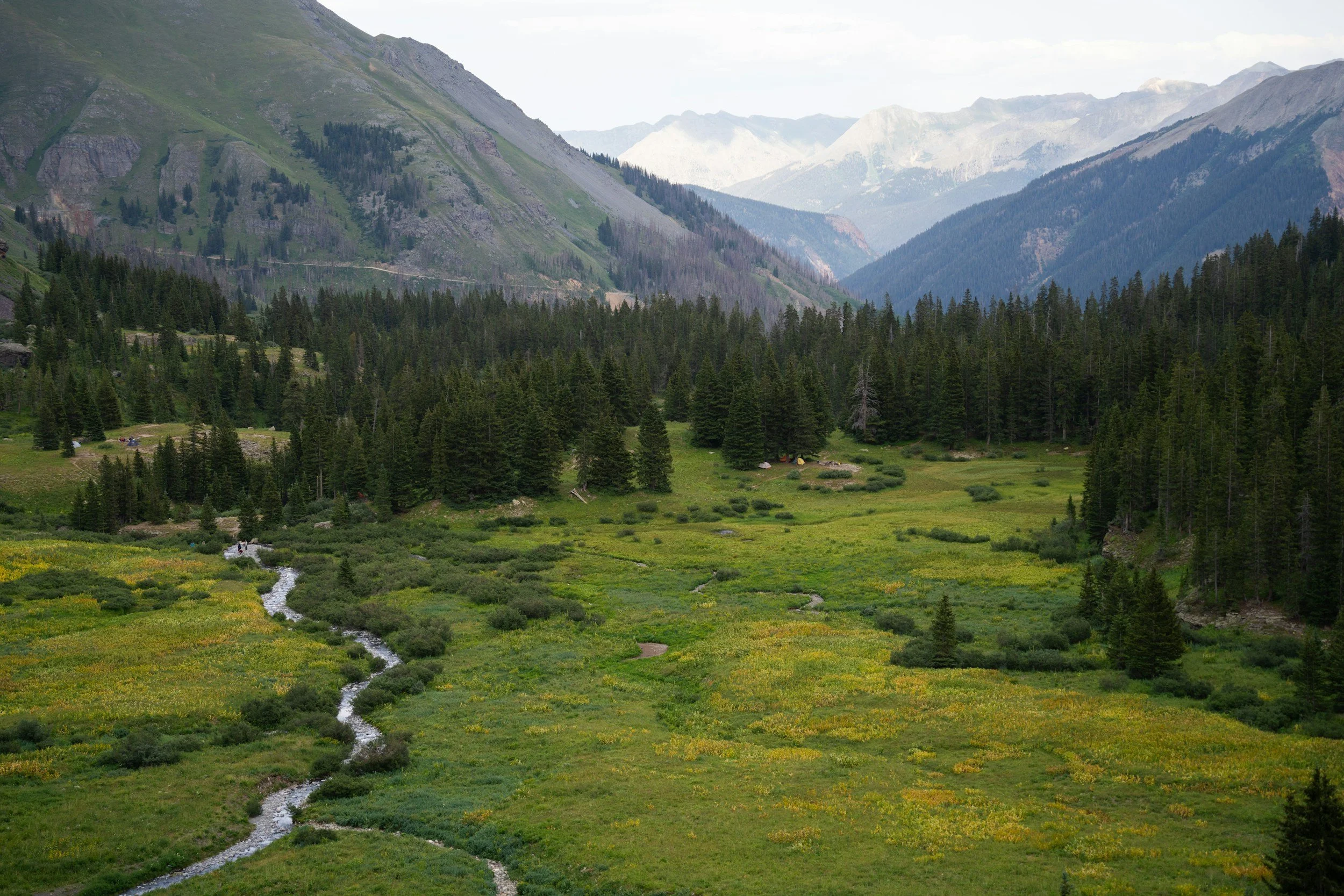 A scenic mountain valley with lush green fields, a winding stream, dense pine trees, and tall mountains in the background, some with snow.