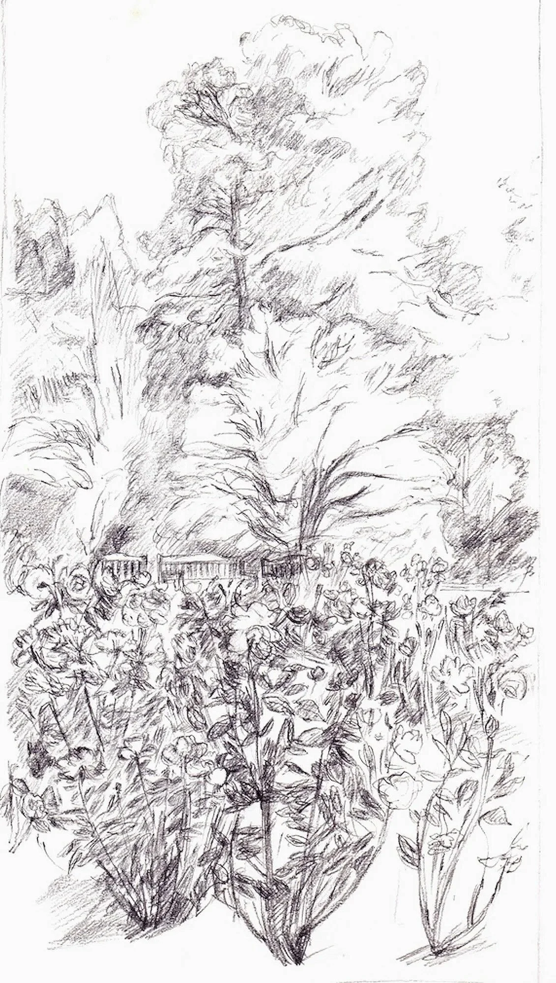 Sketchbook, pencil on paper