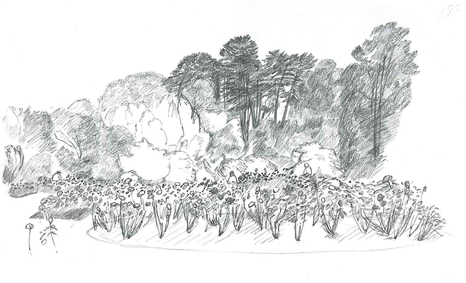 Sketchbook, pencil on paper