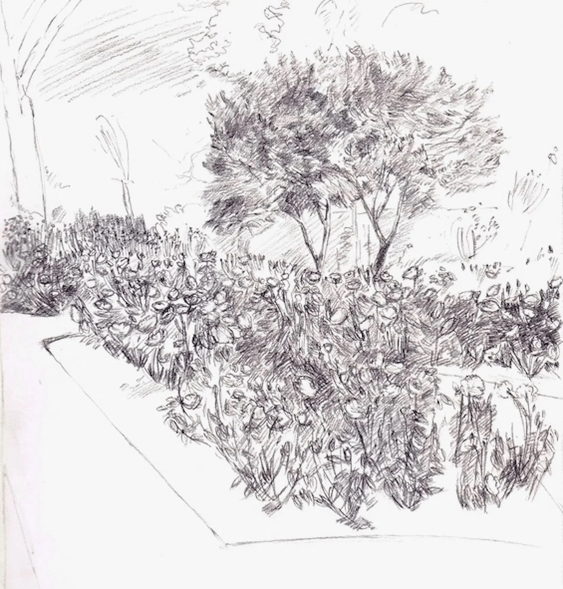 Sketchbook, pencil on paper
