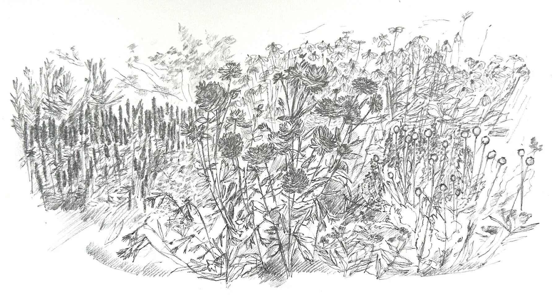 Sketchbook, pencil on paper