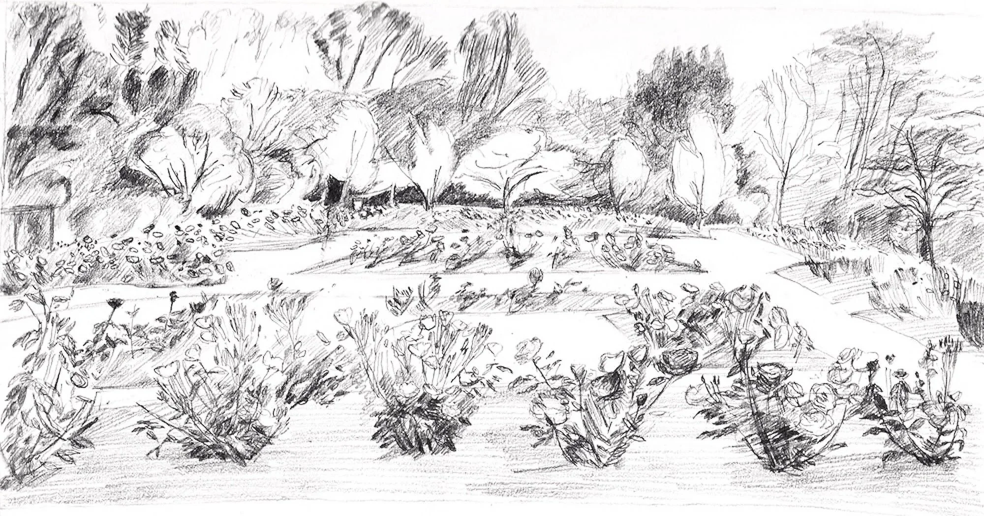 Sketchbook, charcoall on paper