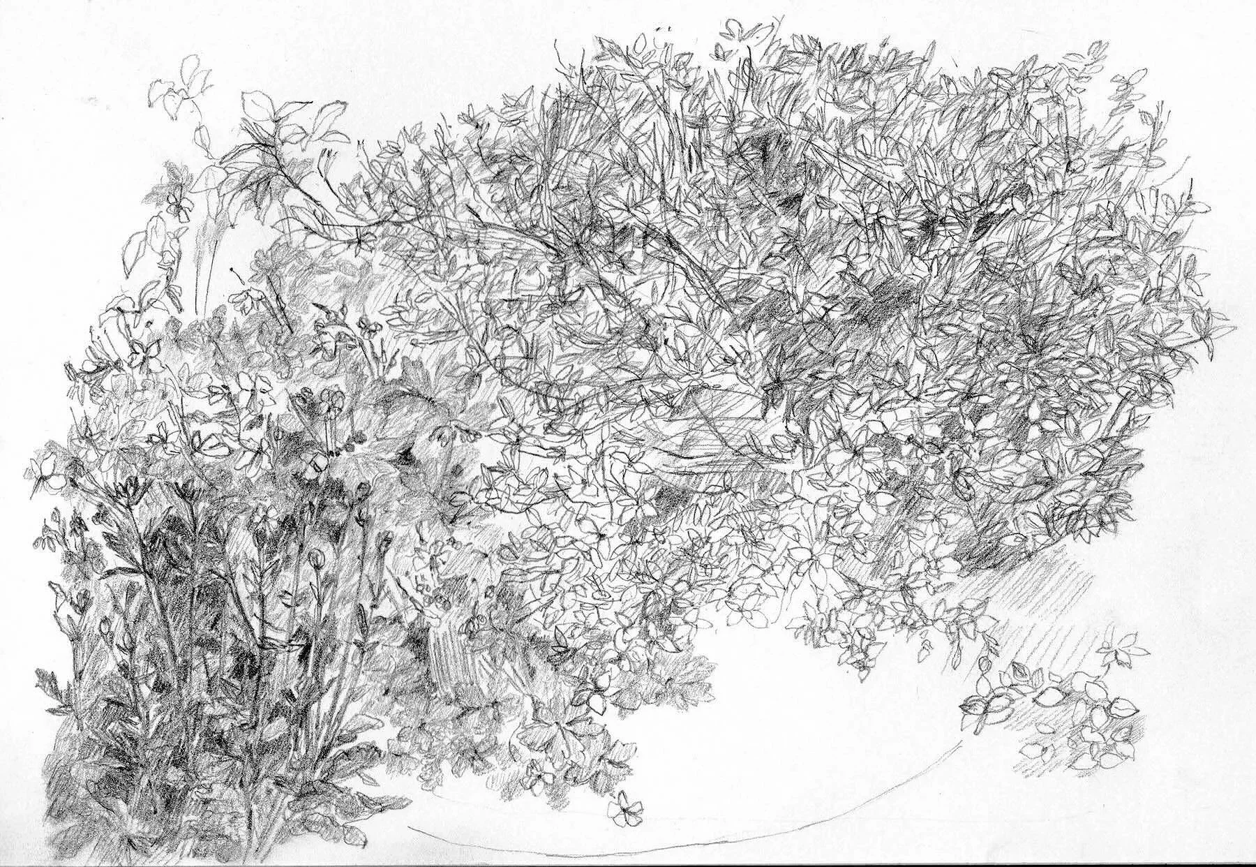 Sketchbook, pencil on paper