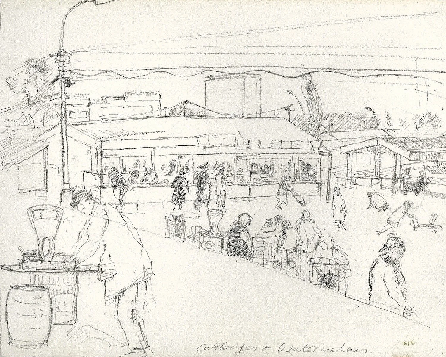 Cabbages and Watermelons, pencil on paper, 1992, 21 x 29.7 cm