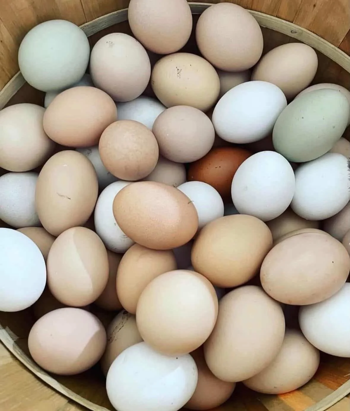 Fresh Eggs — 18 Pack