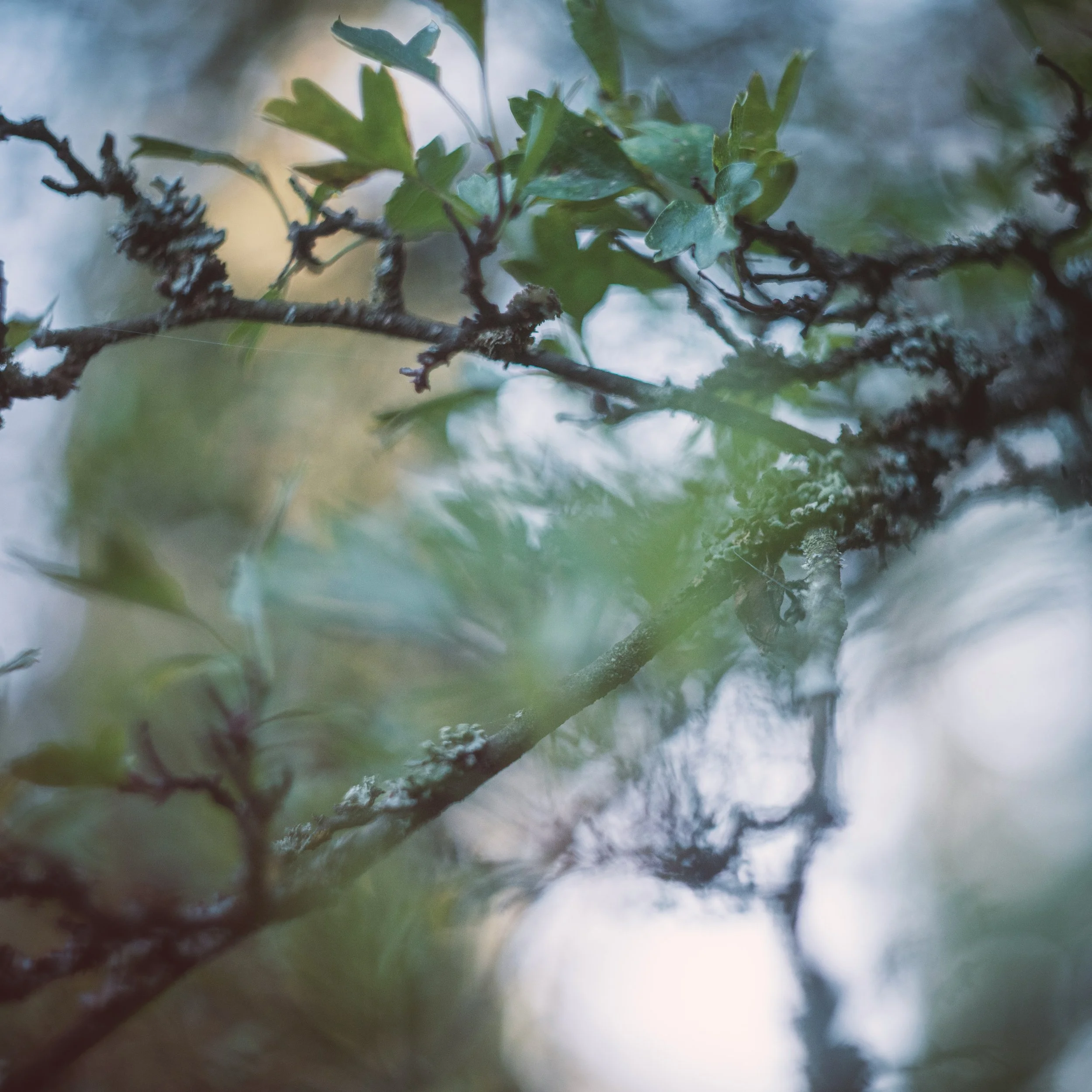 Burnout and Chronic Stress