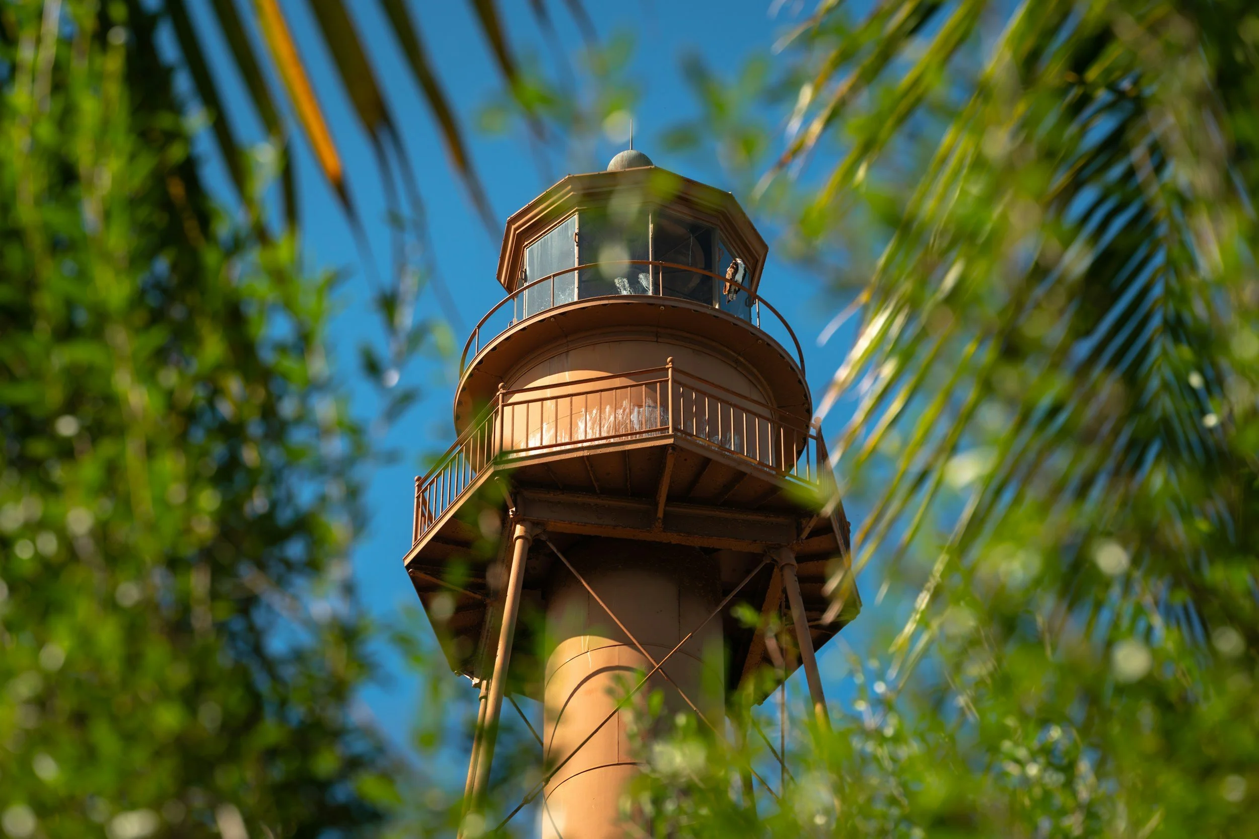 The Sanibel Lighthouse viewed from below with green palm leaves framing the scene against a blue sky.