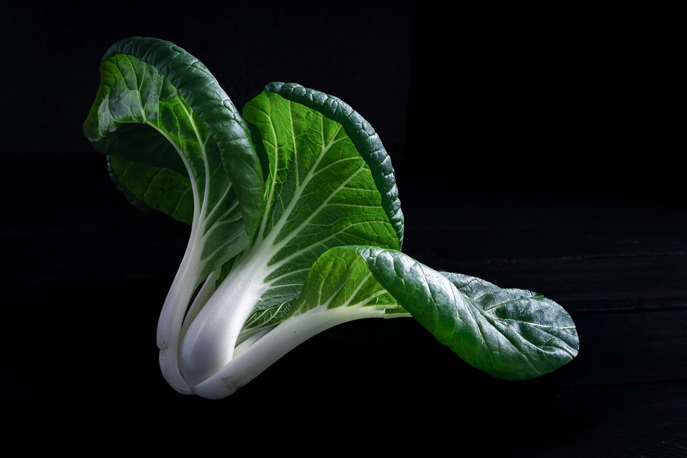 Bok Choy Still Life | Miami Food Photography
Studio-lit bok choy still life showcasing texture, form, and light control. Food photography by a Miami food photographer, created for editorial and commercial use.