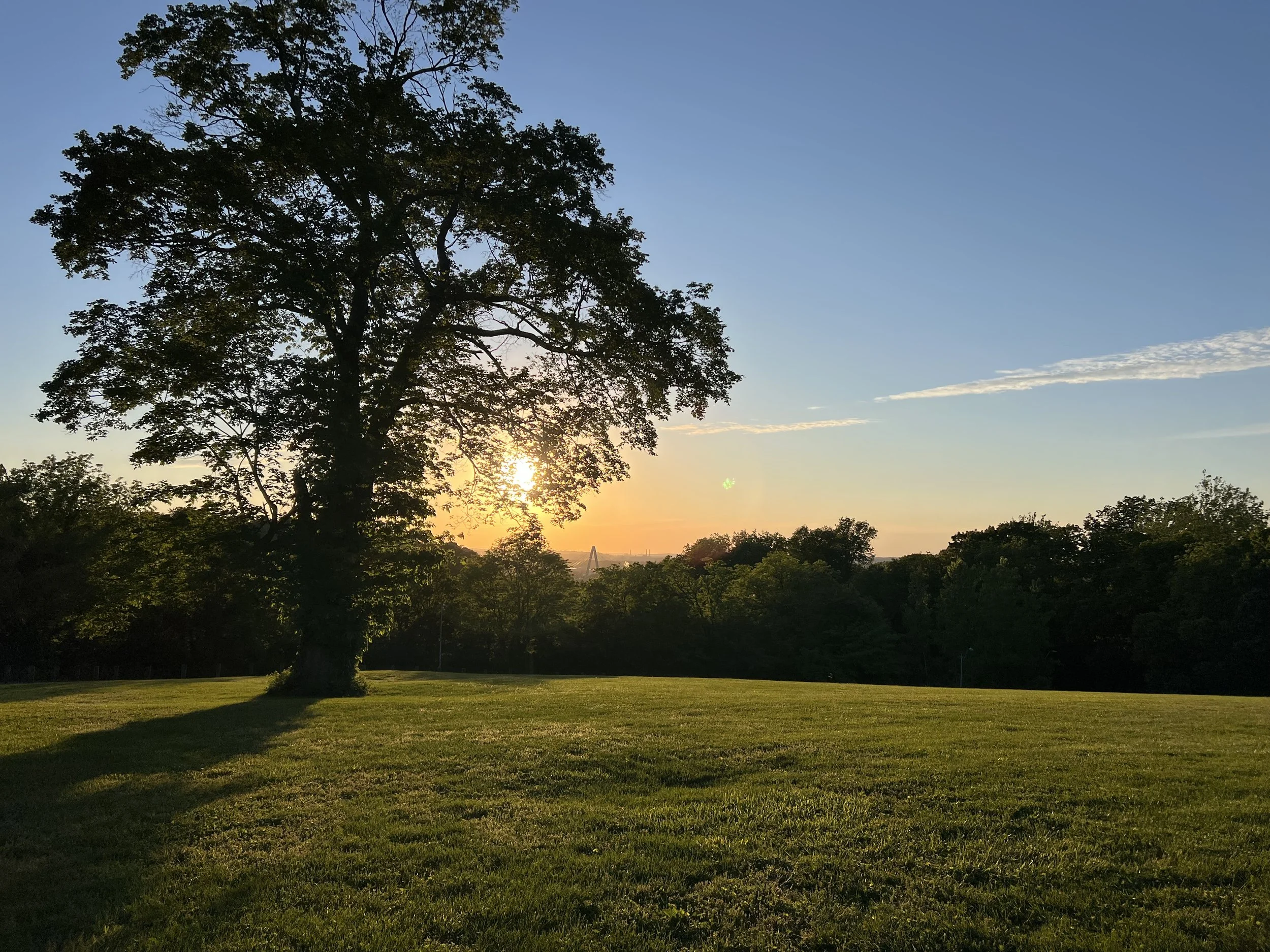 Grief/Death Doula