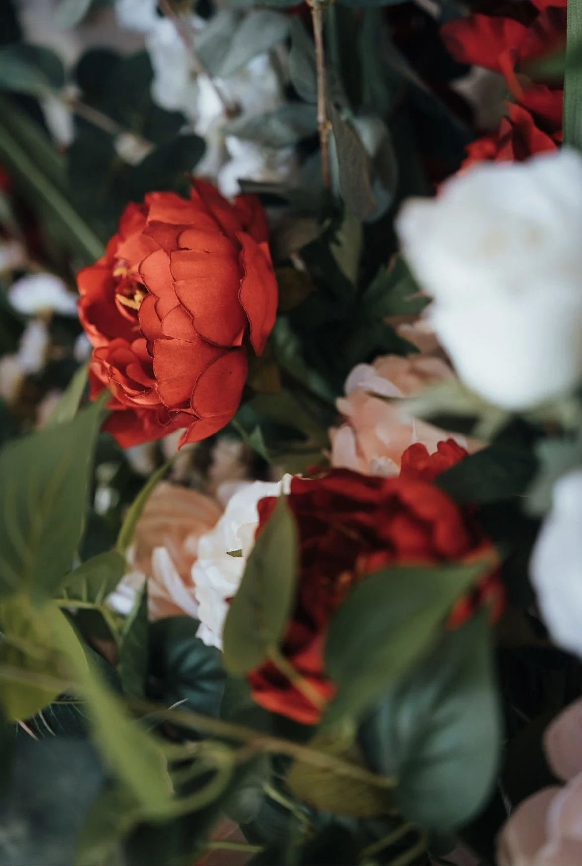 Close-up view of various colorful flowers including red, white, and pink blooms, surrounded by green leaves.