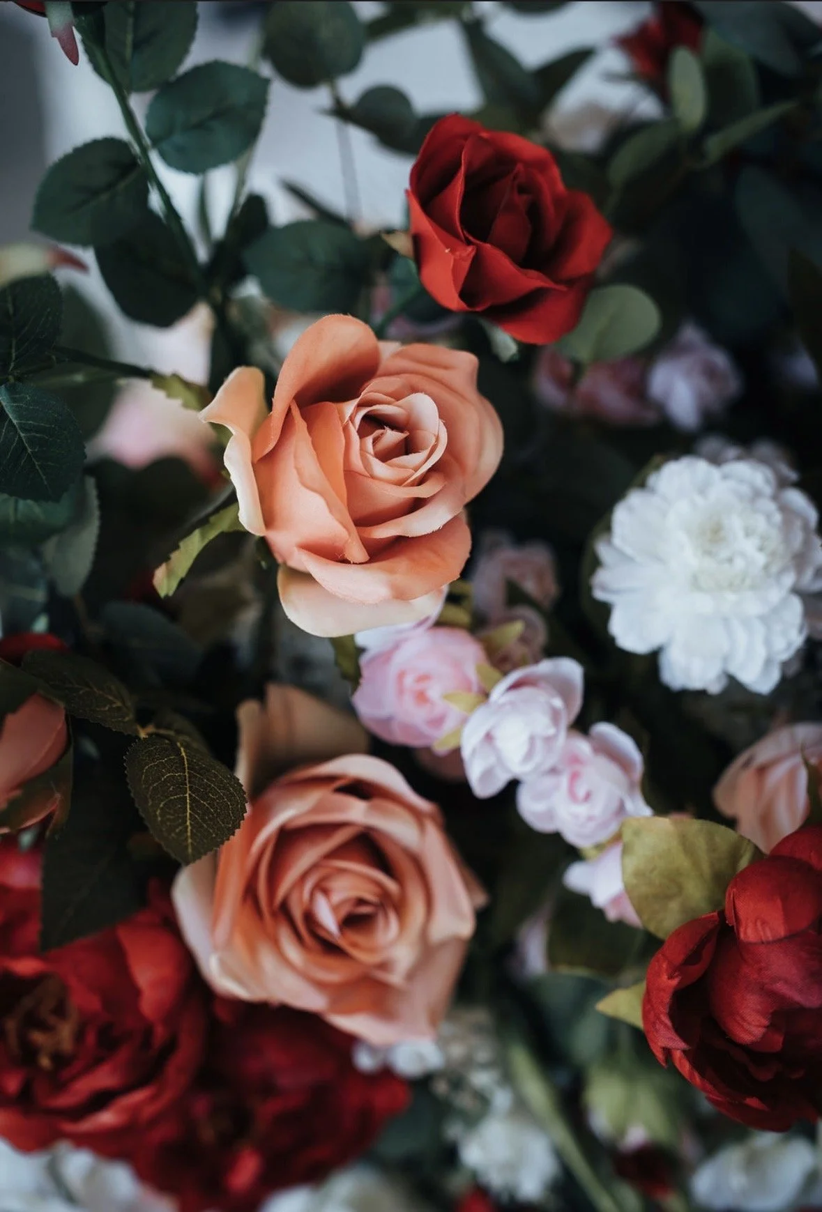Close-up of various roses, including red, peach, and white, with green leaves.