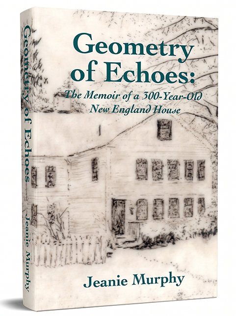 Geometry of Echoes