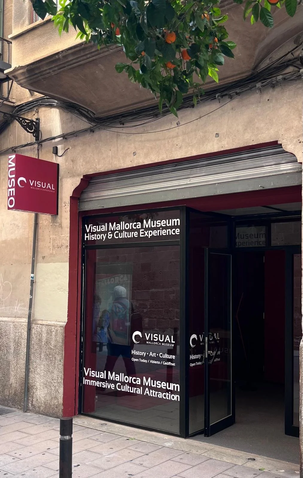 Entrance to the Visual Mallorca Museum with glass doors displaying the museum's name and description, located on a city street with a tree and building nearby.