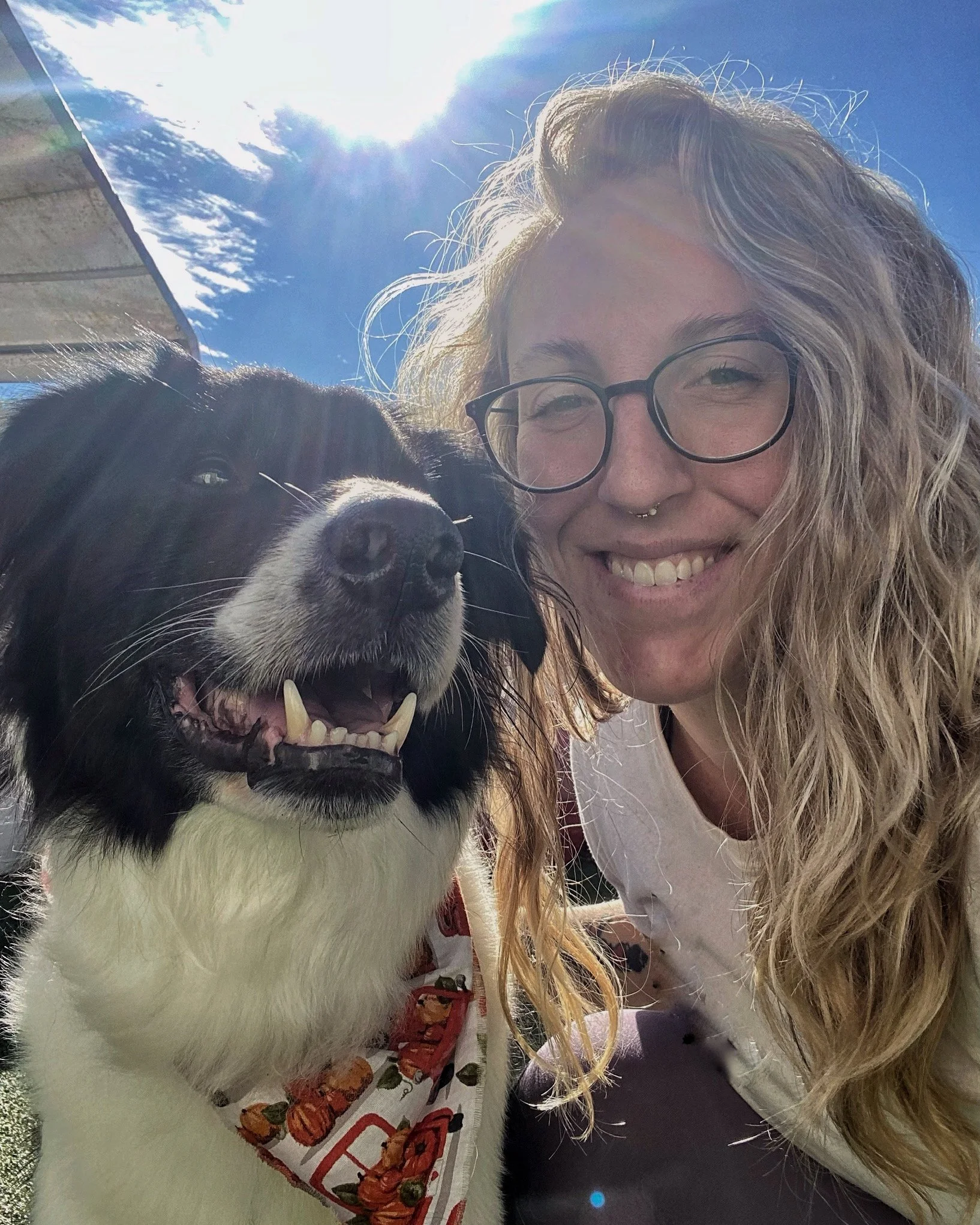 Stephanie, a blonde white woman with glasses posing with her dog, Steve, a black and white mix that resembles a border collie.