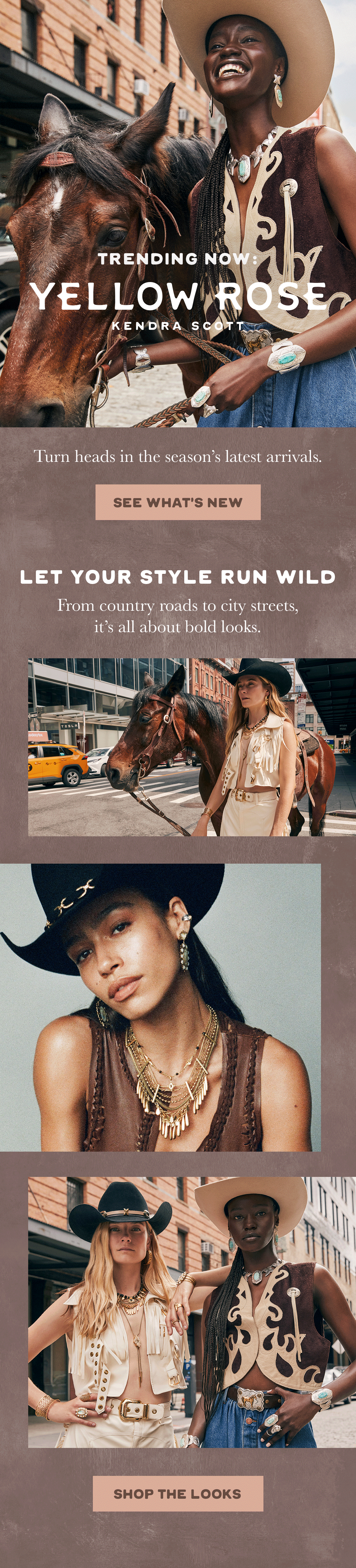 090524_YellowRoseLookbook.gif