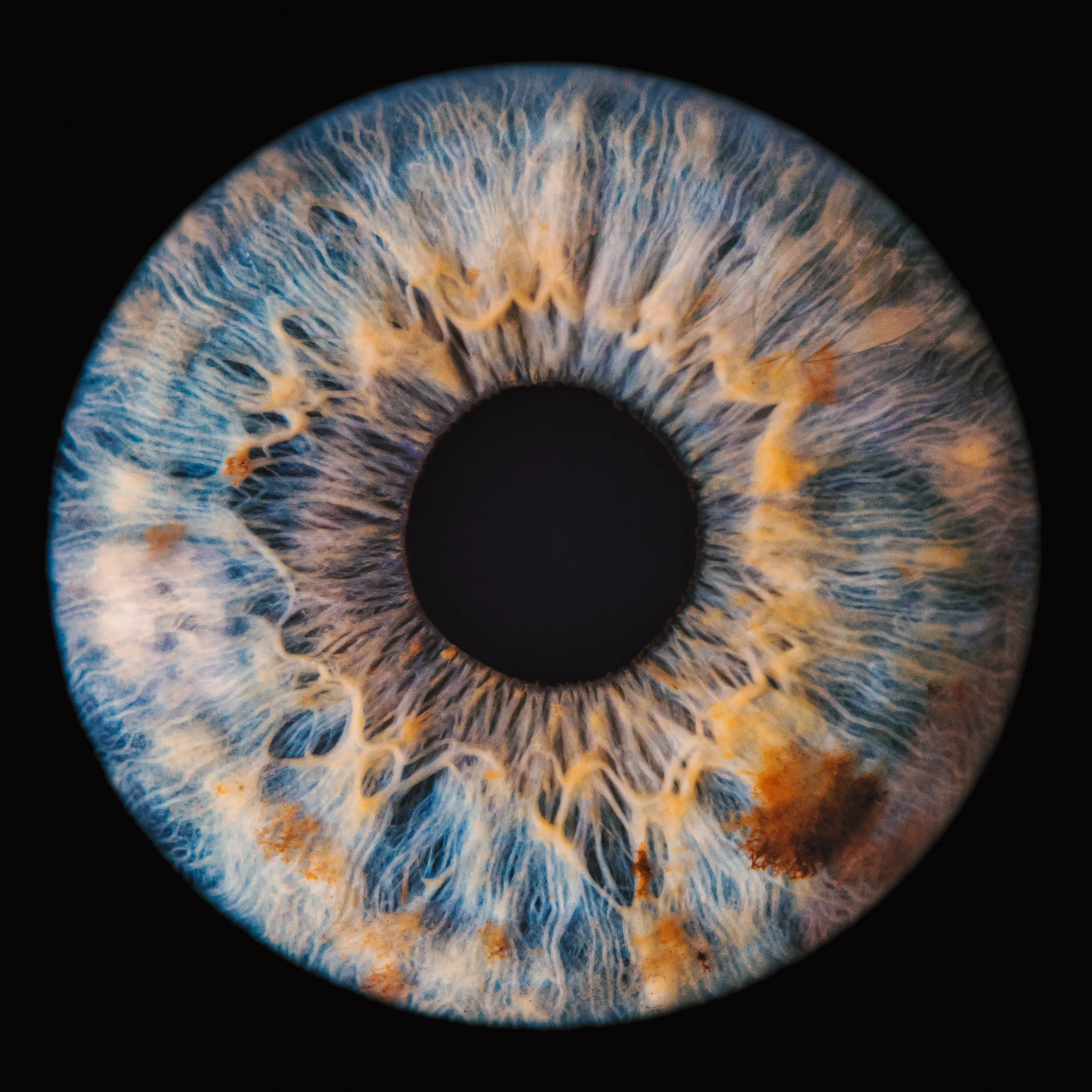 Close-up of a human eye's iris, showing intricate blue, yellow, and brown patterns with dark pupil at the center.