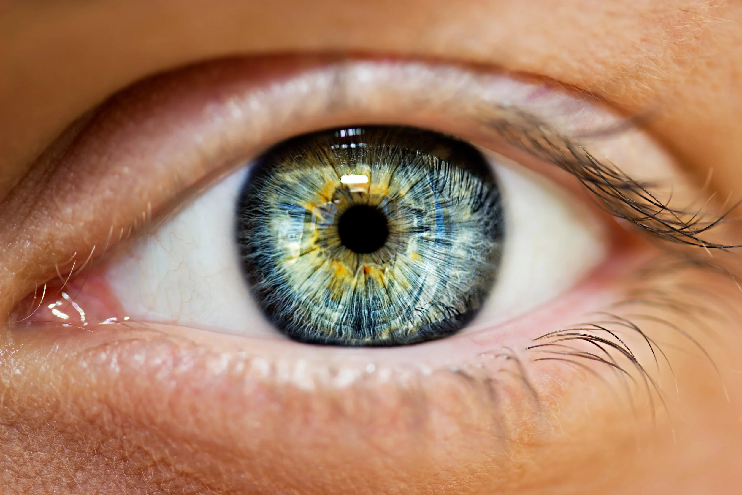 How Focus Bracketing Creates Ultra-Sharp Detail