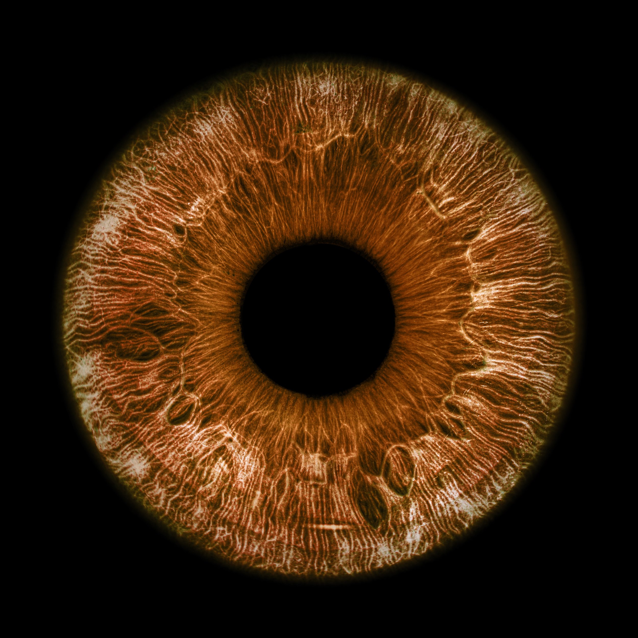 Close-up of a human eye's iris, showing detailed patterns and textures with a black pupil in the center.