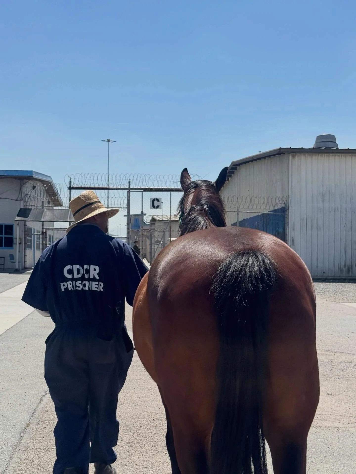 Yesterday at Richard J. Donovan Correctional Facility, Otter, Dogwood, and Brownie walked into a space where something quietly extraordinary happened.
Participants began with breathwork as a foundation for their own nervous system regulation. They le