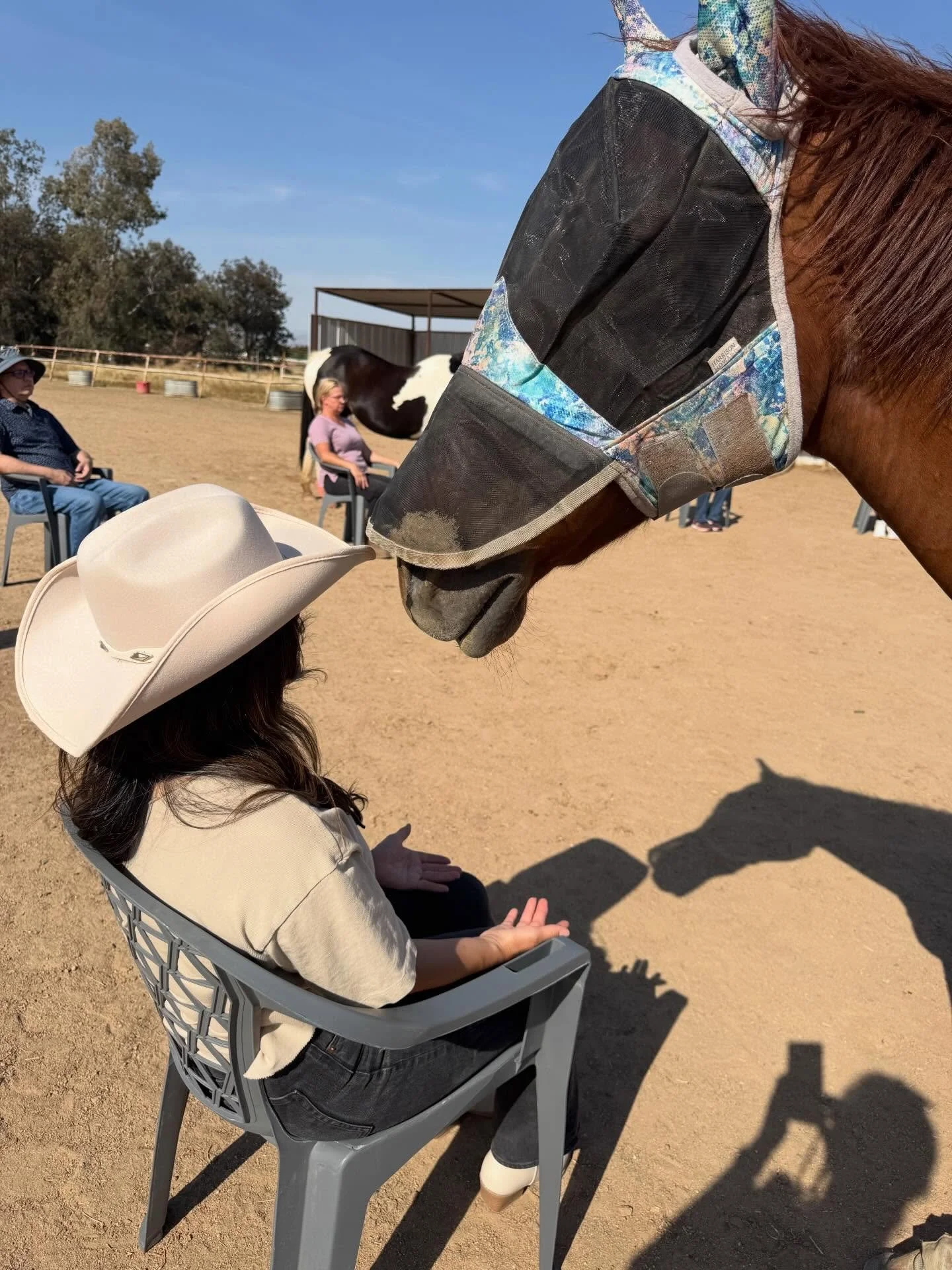 Horses do not lie.
They respond to your actual physiological state. Your breath rate. Your muscle tension. The gap between what you are feeling and what you are showing. They register all of it before you are conscious of it yourself.
You cannot fake