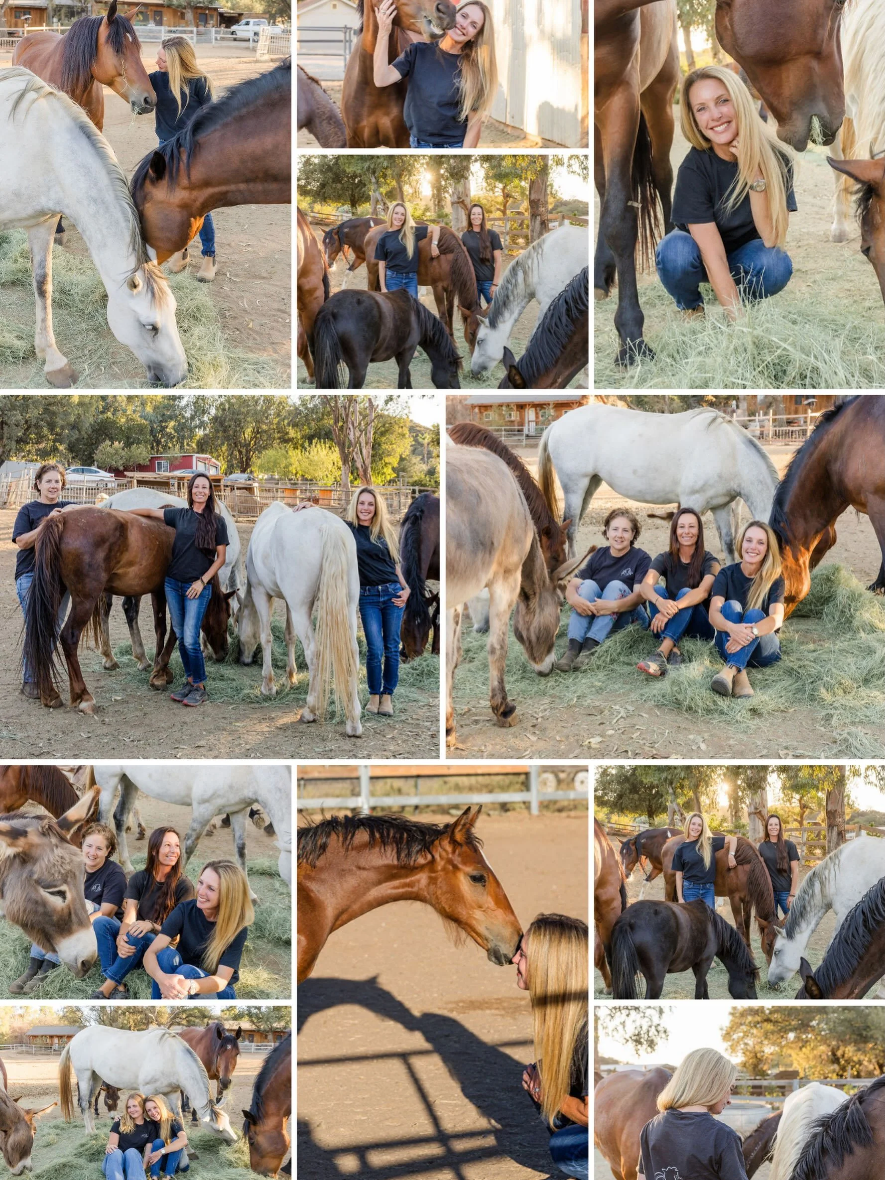A huge thank you to @carlsbadphoto for capturing these special moments. It takes a special photographer to walk into a herd and feel so comfortable and at ease. Irina, you are always THE BEST!  All of us at The Rosie Project thank you!