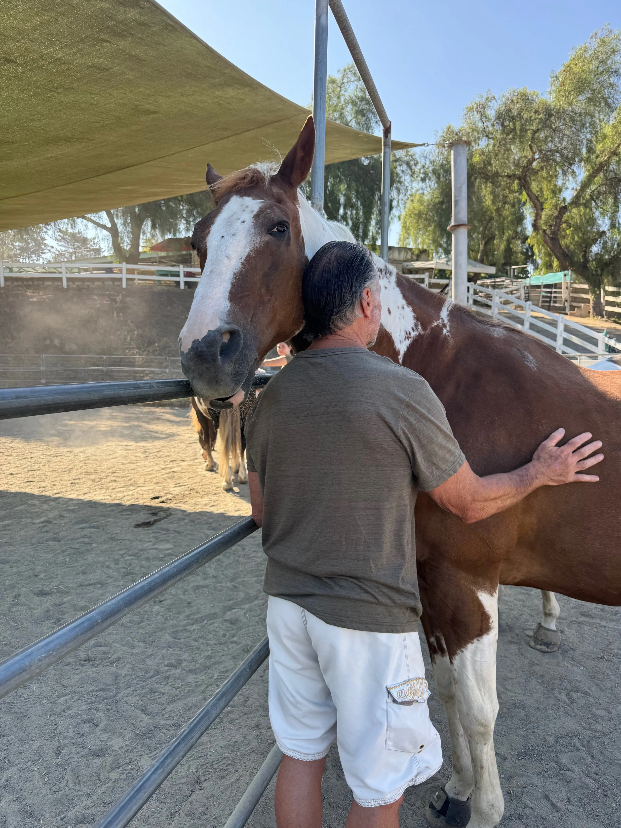 A man wearing a brown shirt and white shorts petting a brown and white horse at a stable.