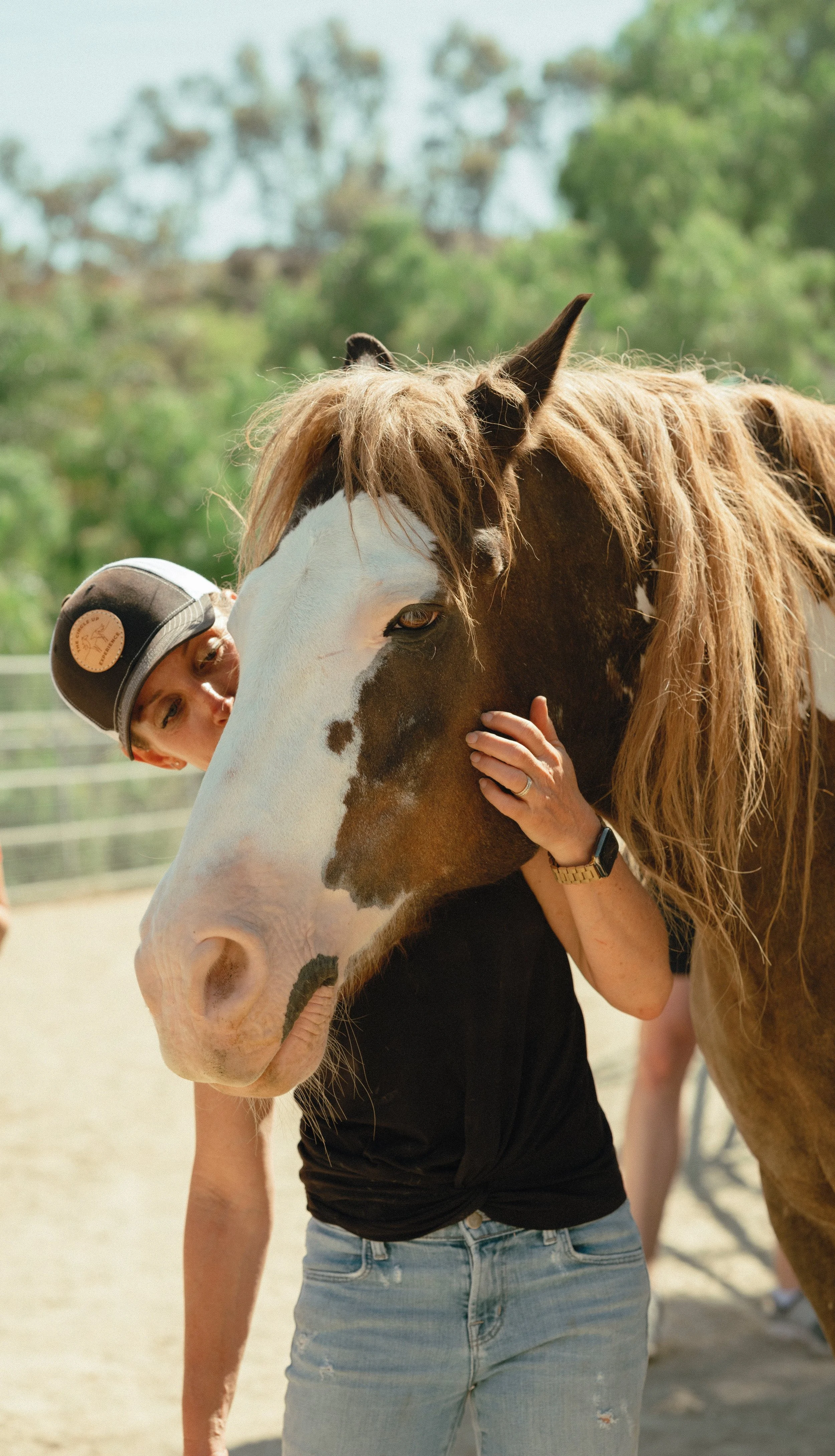 Person hugging a large brown and white horse in an outdoor setting.
