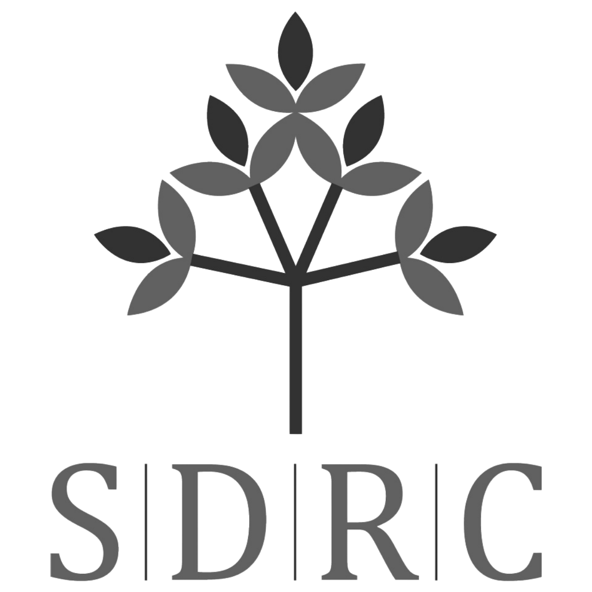 A logo featuring a stylized tree with multiple leaves and the word 'SIDRE' underneath.