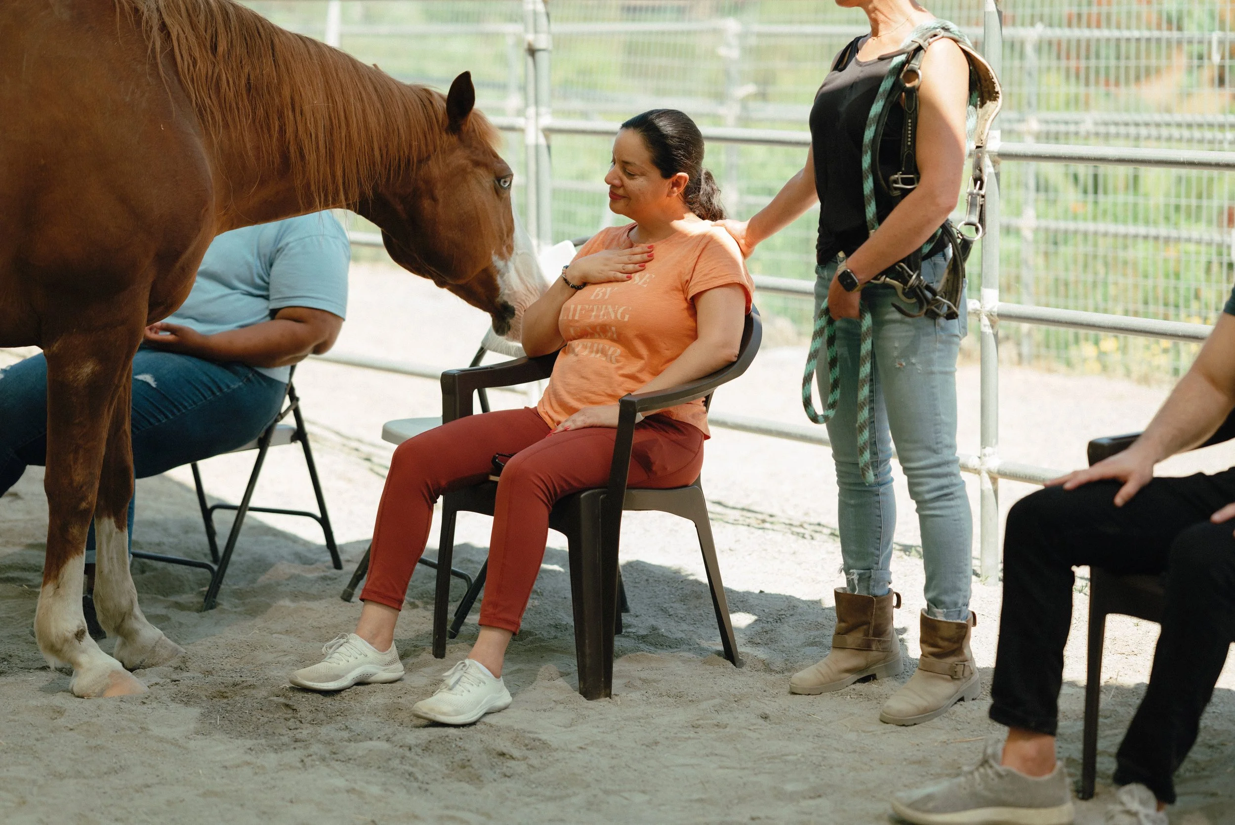 A woman sits on a chair while a horse gently touches her chest with its nose. Two other people are present, one sitting nearby and another standing, with the scene set in an outdoor, enclosed area.