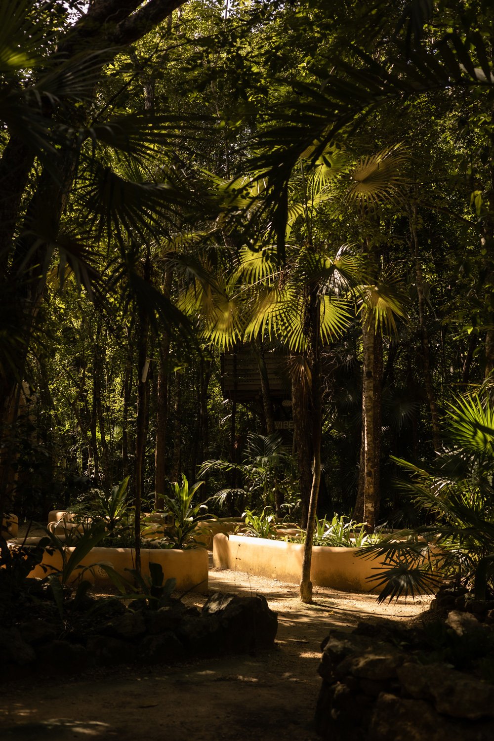 Tropical garden pathway symbolizing reflection and personal growth journey for women