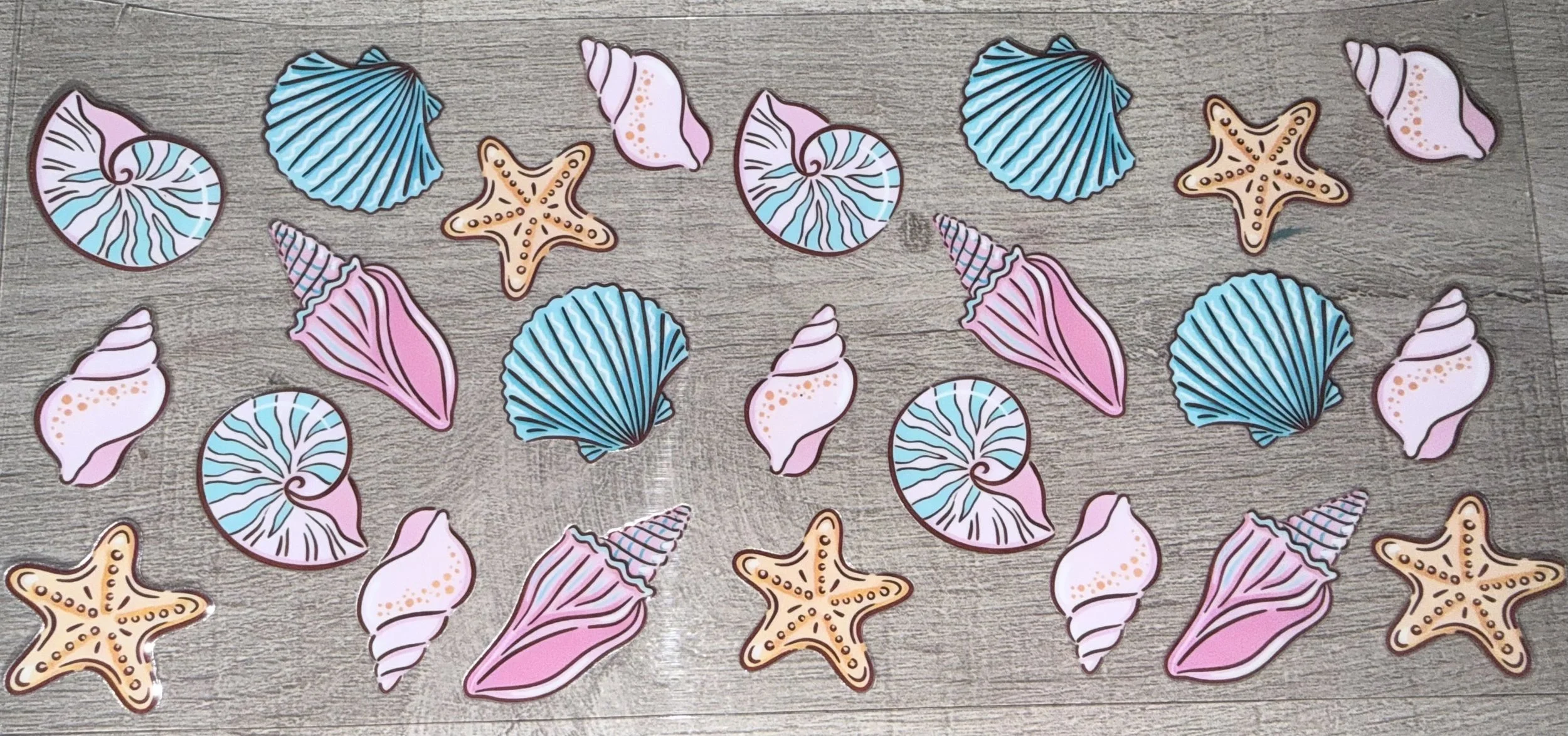 sea shells