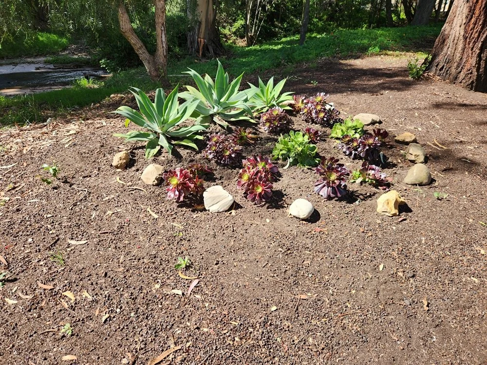 Community Gardening